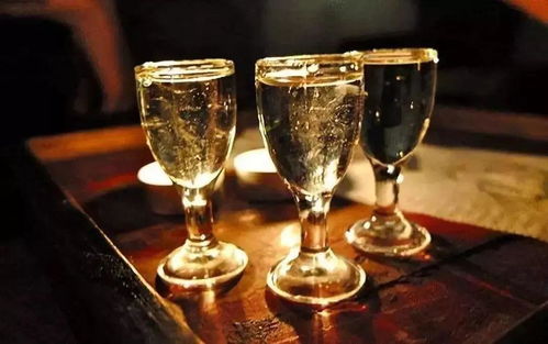 金樽黑酒 與講究者共飲，一場流動(dòng)的儀式